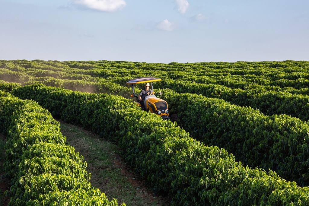 A cafeicultura capaz de trazer maior rentabilidade é aquela que é vista por uma ótica de manejo inovador e sustentável