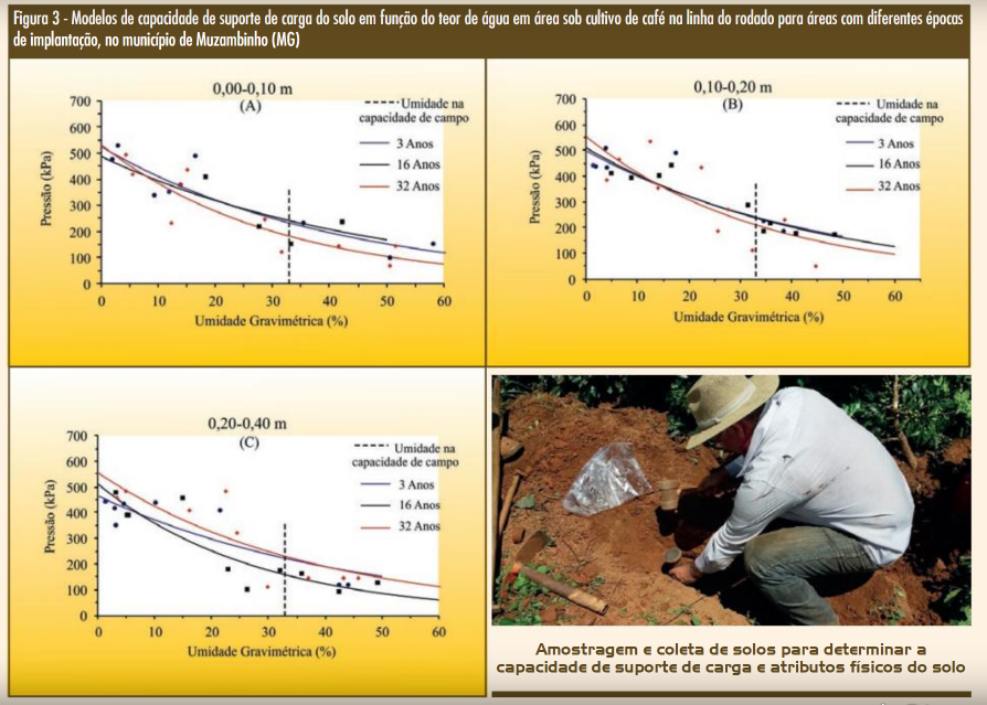 Figura 3