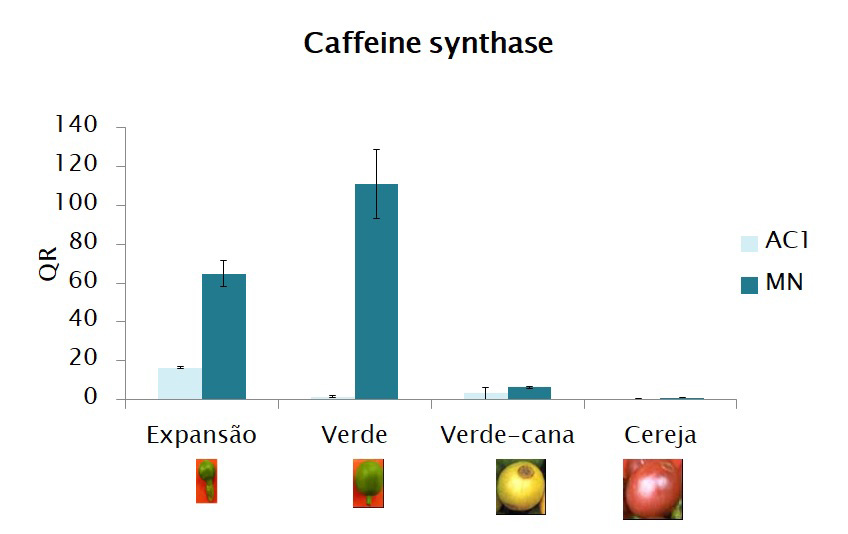 Gráfico