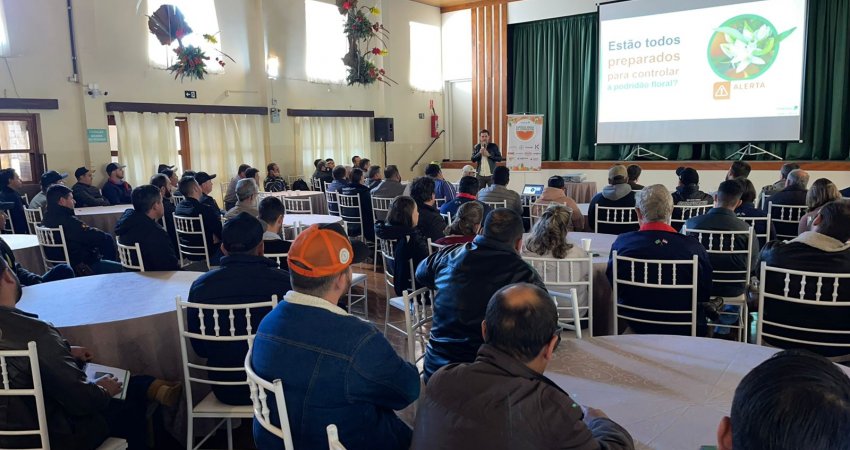 Cerca de 160 citricultores e outros profissionais do setor participaram do encontro promovido pelo Fundecitrus. - Foto: Divulgação
