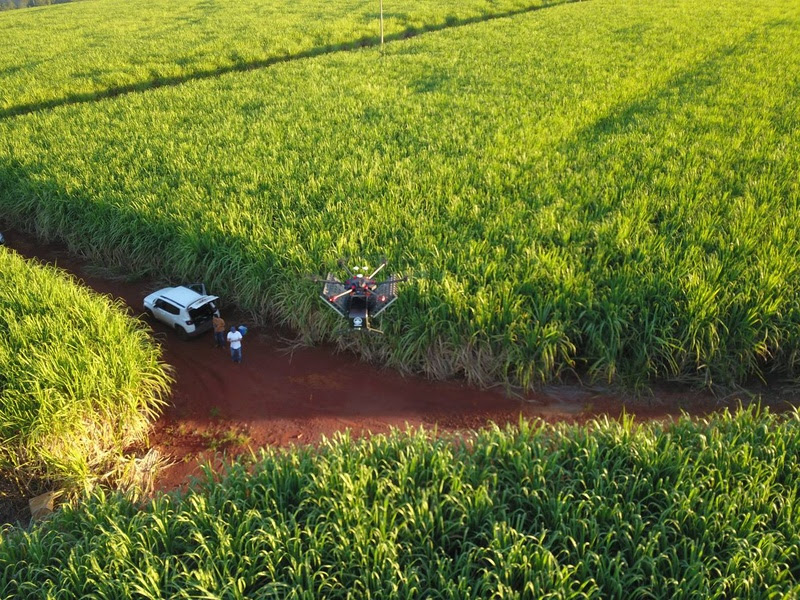 Drone utilizado no controle biológico. A distribuição aérea, que obedece a um planejamento georreferenciado para a melhor eficiência de localização, garante resultados adequados ao manejo. - Foto: Divulgação