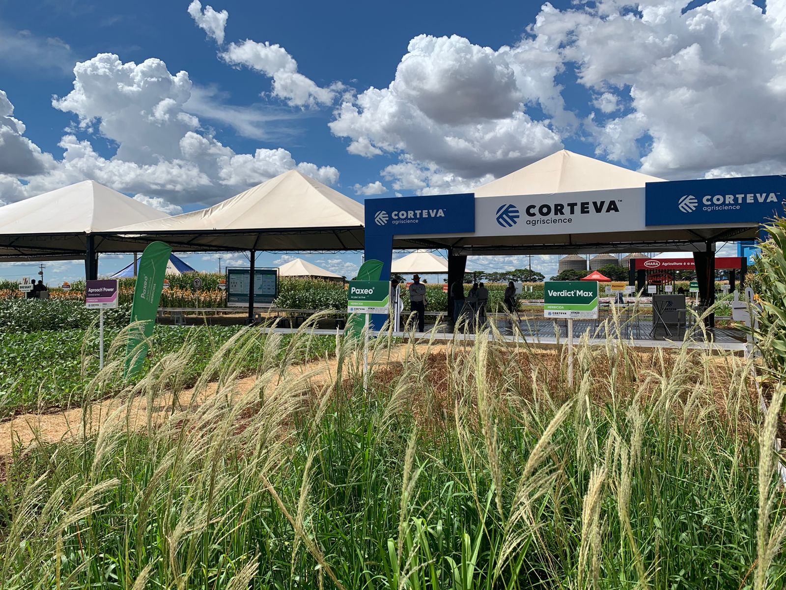 Corteva Agriscience marca presença, de 10 a 14 de janeiro, em Palotina (Paraná), no Dia de Campo C.Vale, evento que abre o calendário de feiras agrícolas em 2022. - Foto: Divulgação