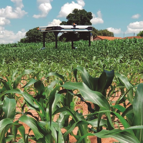 A tecnologia promove o uso racional de agroquímicos, assegura a saúde do solo e viabiliza a agricultura de baixo carbono