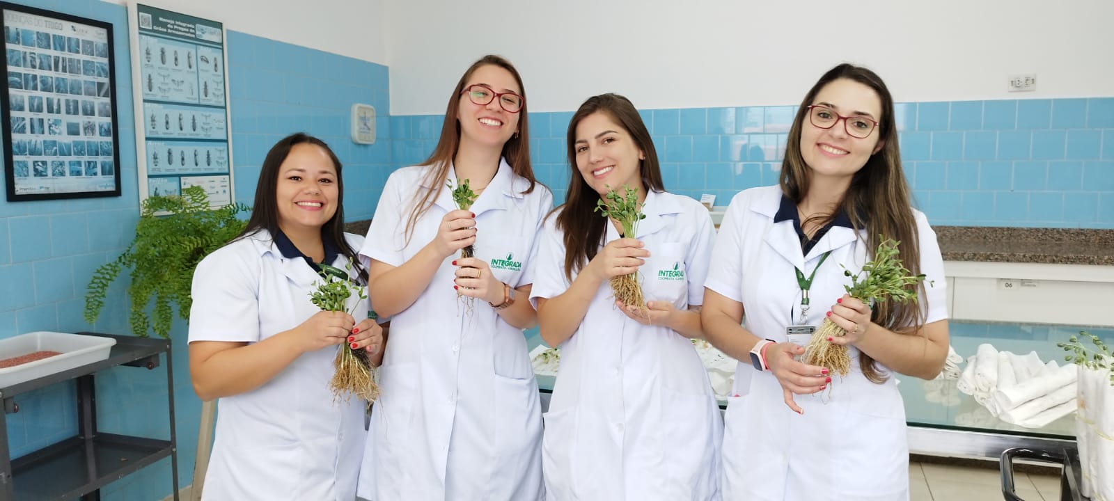 Equipe do Laboratório de Sementes (esquerda para direita): Bruna Isabele da Silva, Nathalia Rebolho Turozi, Jordana Mayra Nassar e Amanda Turozi Zulianelli de Lima