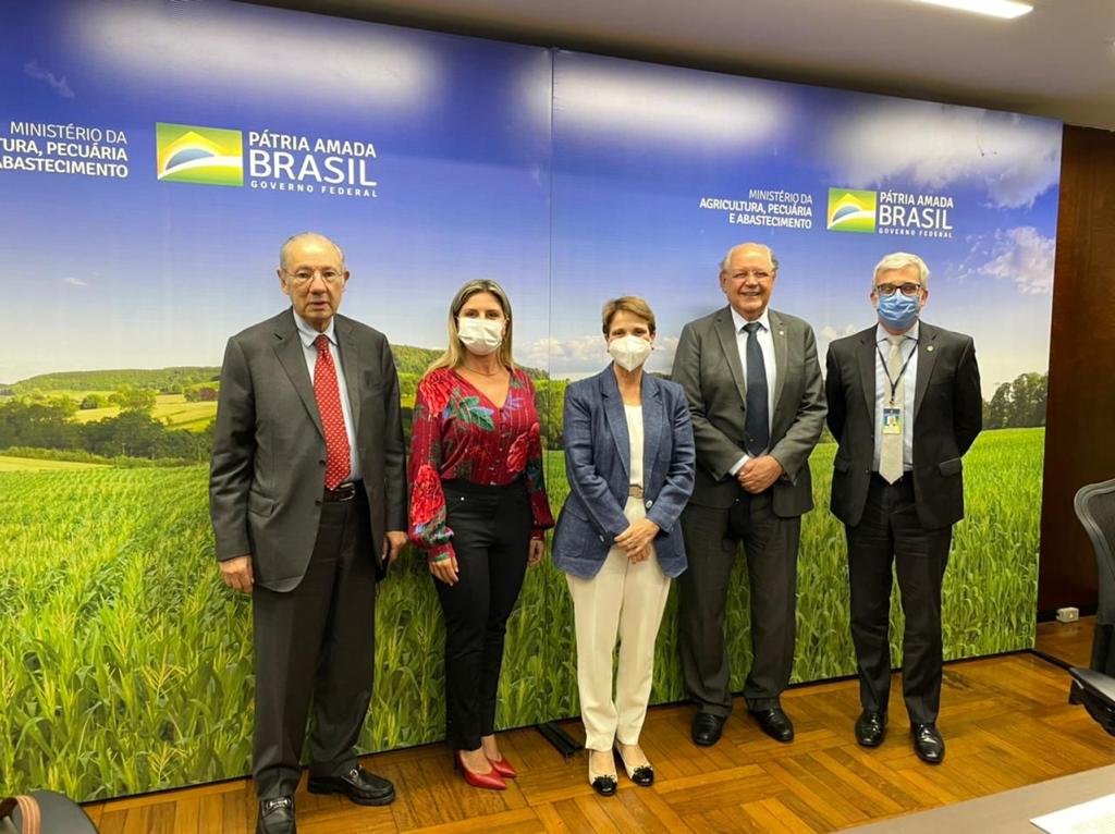 Representantes da Abitrigo se reuniram com a Ministra Teresa Cristina para debater os desafios e oportunidades do trigo no Brasil