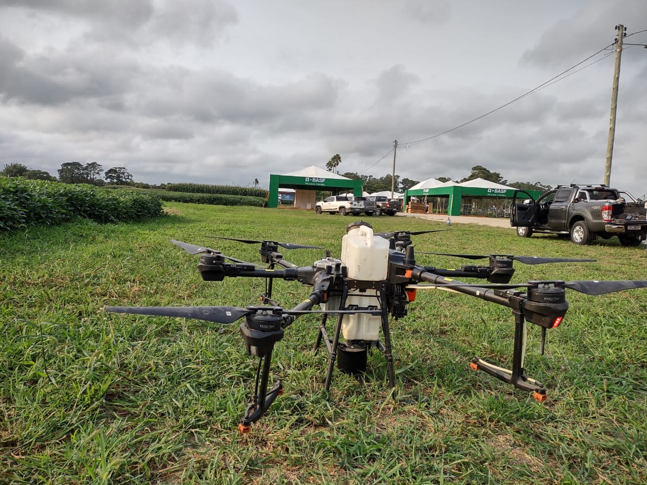 A empresa cumpriu 100% da meta de atendimento acordada com a Federação das Associações de Arrozeiros do Rio Grande do Sul (Federarroz) e o Instituto Rio Grandense do Arroz (IRGA). - Foto: Divulgação