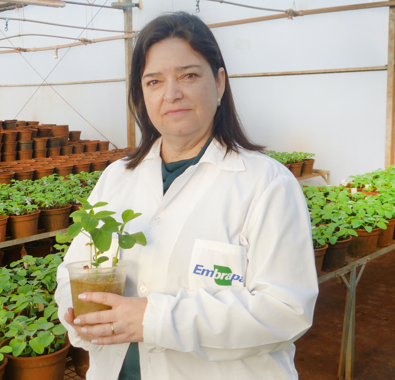 &nbsp;Claudine Seixas, pesquisadora da Embrapa Soja. - Foto: Arquivo Embrapa