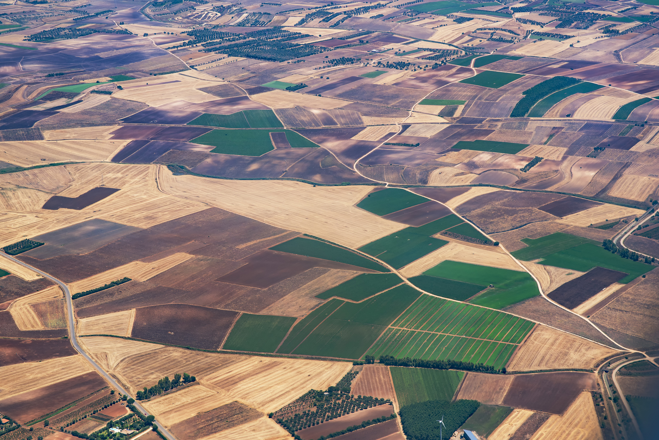 Informações apontam doenças e pragas, guerra, adversidades climáticas e mercado como os maiores vilões do setor na safra passada