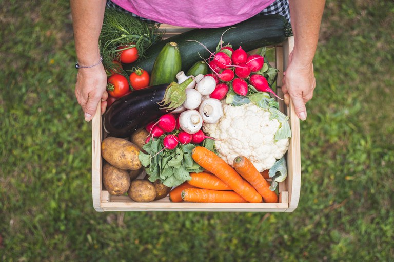 As recomendações tratam de uso de tecnologia para preservação de alimentos e incentivo à pesquisa. - Foto: Divulgação Mapa