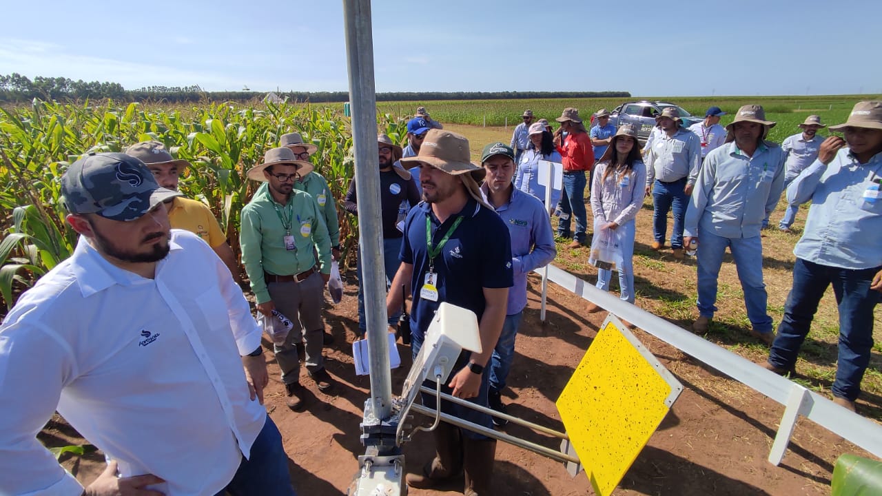 Os resultados foram mostrados no dia de campo, promovido pela Aprosoja-MT, que contou com a participação de 150 pessoas nesta sexta-feira (13/05), em Campo Novo do Parecis. - Foto: Divulgação