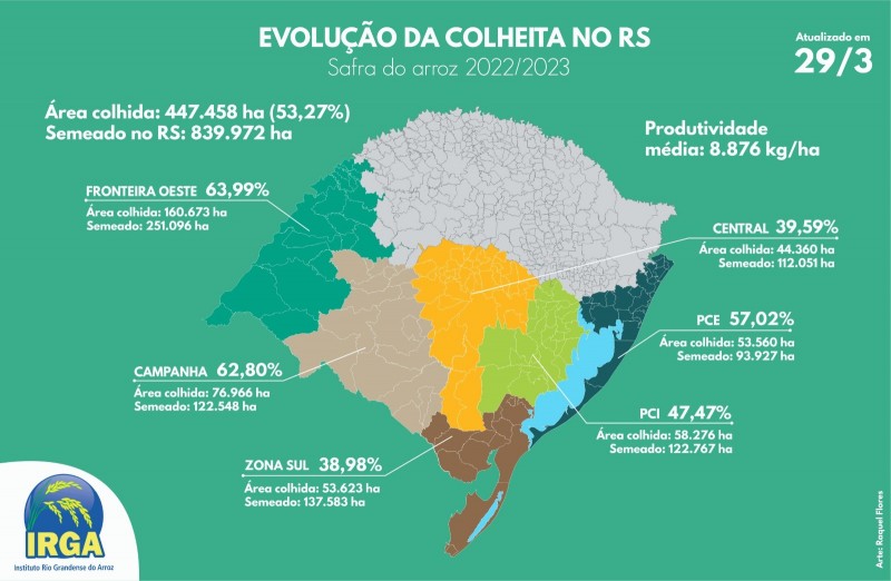 Evolução da colheita do arroz no Rio Grande do Sul