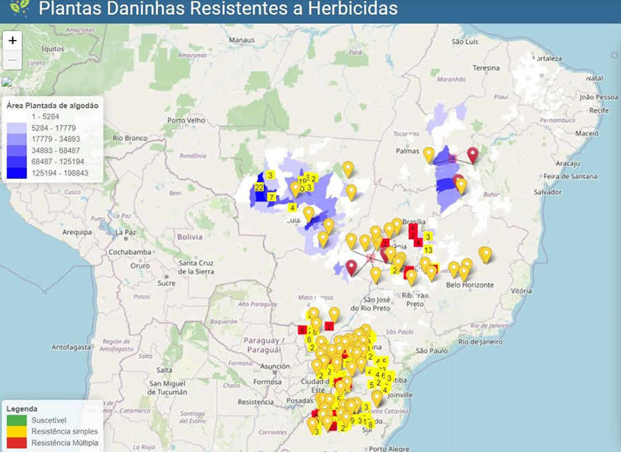 Pontos com ocorrência de plantas resistentes a herbicidas no Brasil e destaca as áreas com plantio de algodão (em tons de azul)