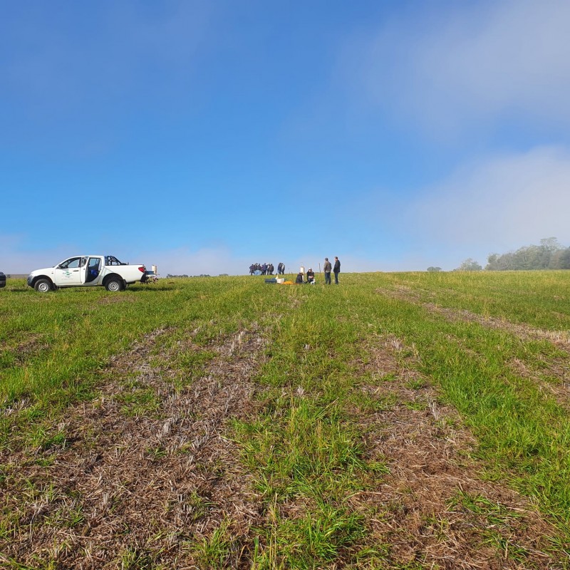 Operação 365 incentiva a recuperação física, química e biológica dos solos, proporcionando aumento da produção agropecuária. - Foto: André Amaral/Embrapa Trigo