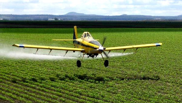 Atento a esse enorme potencial, um grupo de empreendedores está construindo em Goiás, que é o terceiro maior centro de manutenção de aeronaves do Brasil, a maior infraestrutura para aviação geral do Centro-Oeste. - Foto: Divulgação