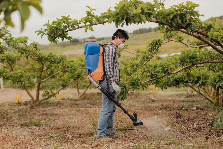 Além de promoções e condições de compra imperdíveis durante a feira, o produtor conhecerá lançamentos da linha poda, condução de plantas e distribuidores portáteis de grânulos, com destaque para o Jacto GB-18, um costal a bateria com 3 modos de aplicação de insumos granulados e controle de doses. - Foto: Divulgação