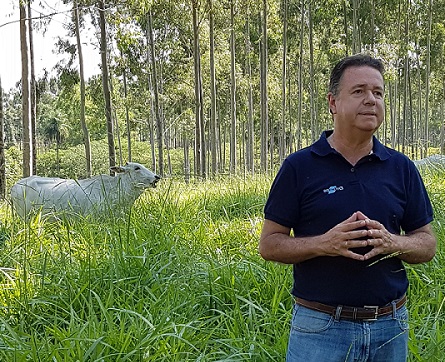 Sistemas integrados, como lavoura-pecuária-floresta (ILPF), com os quais o pesquisador Martin Neto desenvolve estudo usando a fotônica para avaliar a matéria orgânica do solo, é uma das práticas que podem ajudar a mitigar a emissão dos GEEs. - Foto: Joana Silva