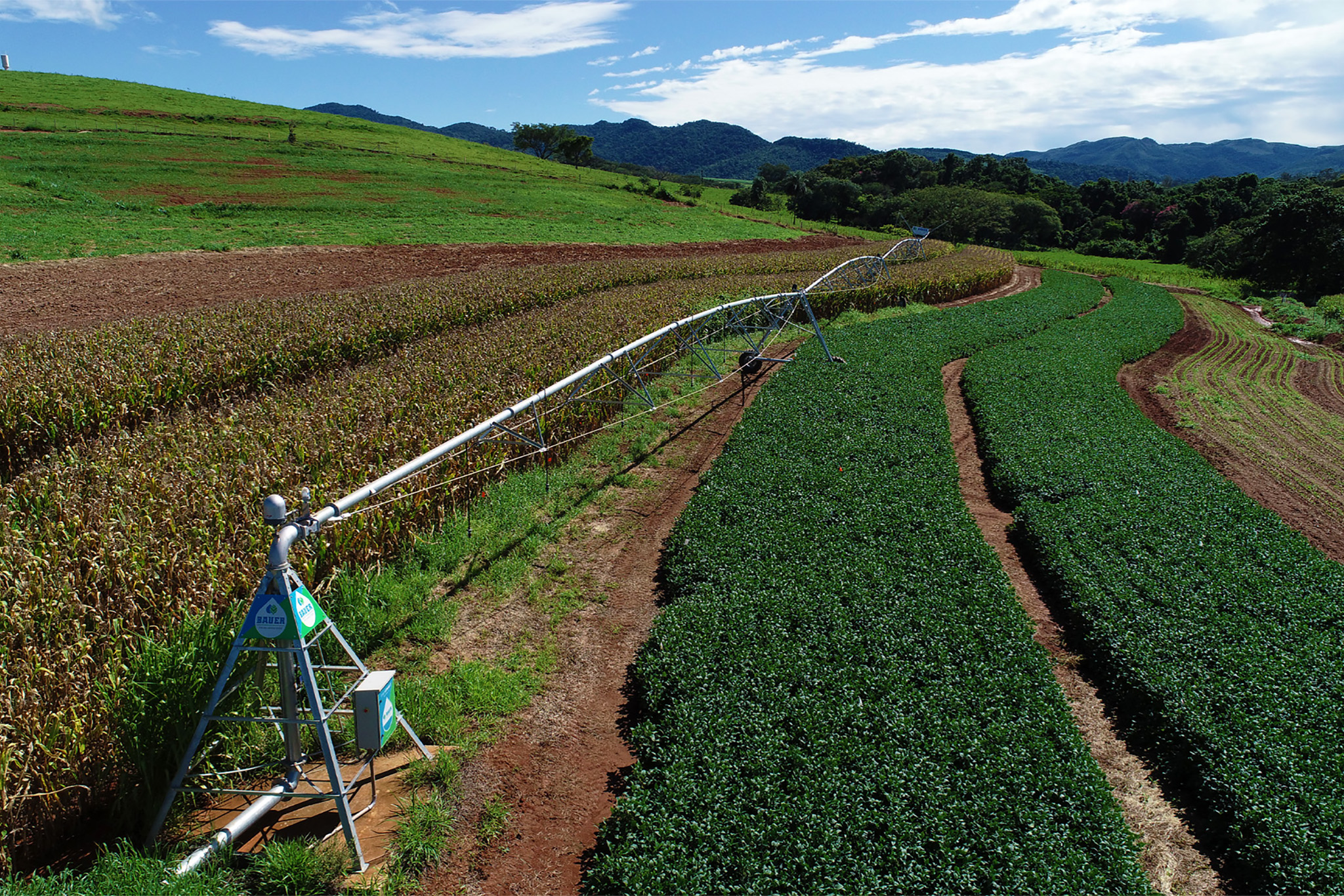 Estudantes da Unifeob e empresas do setor agro trabalham em conjunto na estrutura do campus, com destaque para a área experimental. - Foto: Divulgação&nbsp;