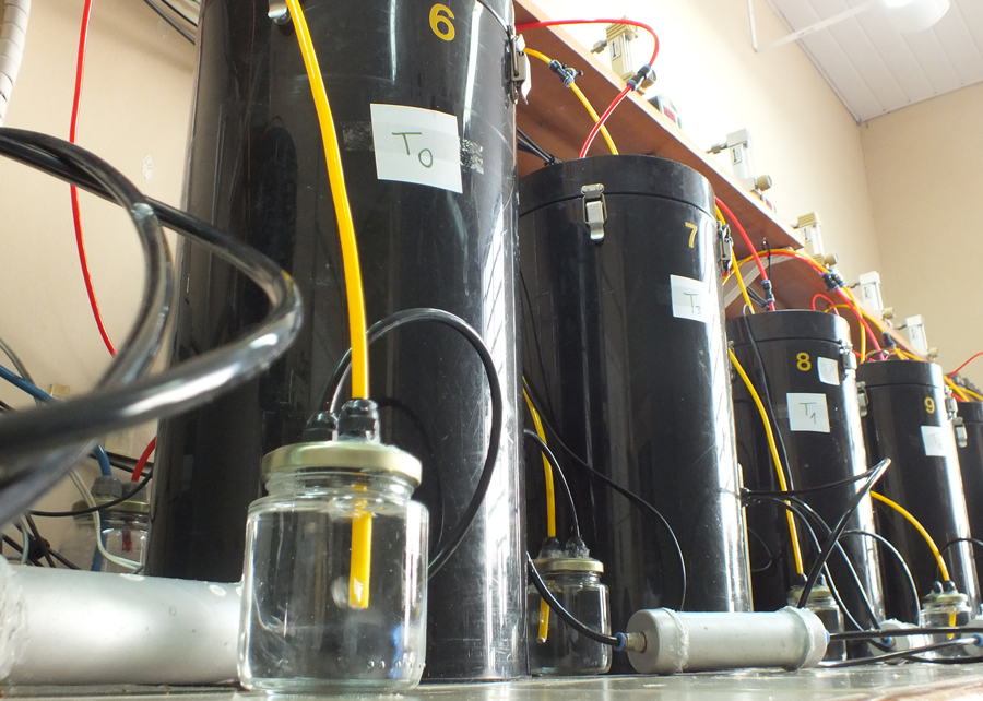 No sistema, 12 reatores funcionam ao mesmo tempo e em linha, com sensores de oxigênio e gás carbônico e controle de temperatura, de forma integrada; Foto: Alexandre Esteves