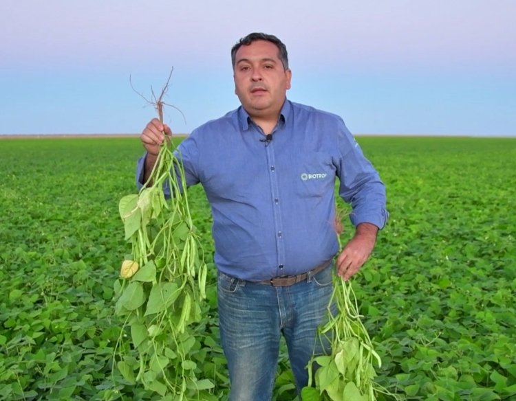 Luis Felipe Rodrigues, coordenador de vendas da Biotrop no Oeste da Bahia. - Foto: Divulgação