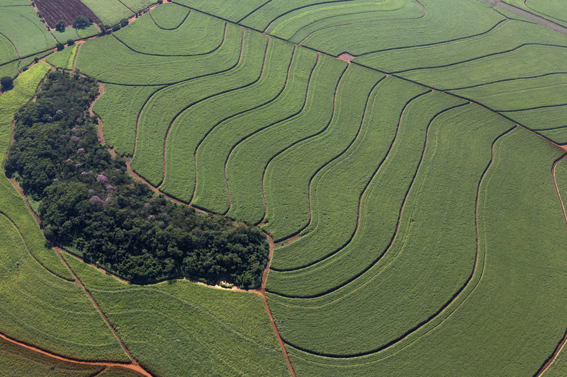 100% brasileira e resultado da mistura dos DNAs da Vibra e da Copersucar, surge como uma nova plataforma para comercialização global do biocombustível. - Foto: Divulgação