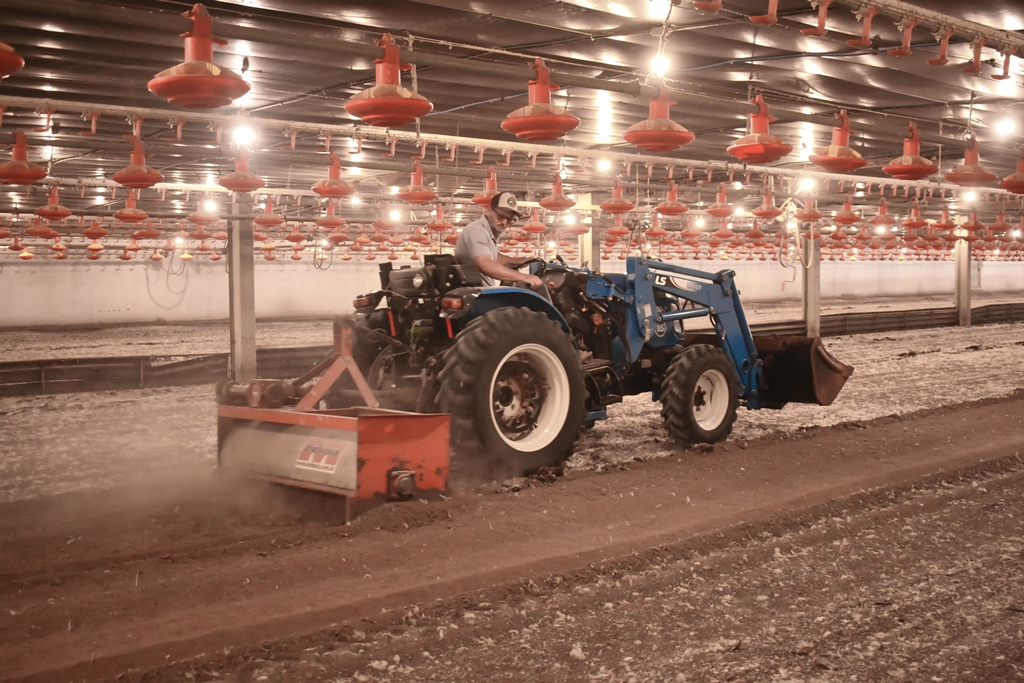 Turning poultry litter, incorporating limestone, as well as transporting inputs and dead chickens are some of the activities carried out with the tractor in the day-to-day operations of the farm.