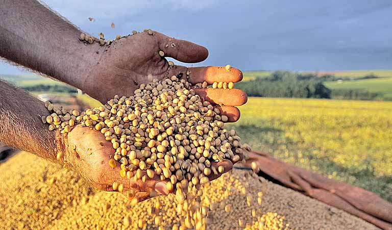 De acordo com Leonardo Sodré, CEO da GIROAgro, “a alta se deve não apenas ao clima favorável, mas também à participação dos fertilizantes no negócio”