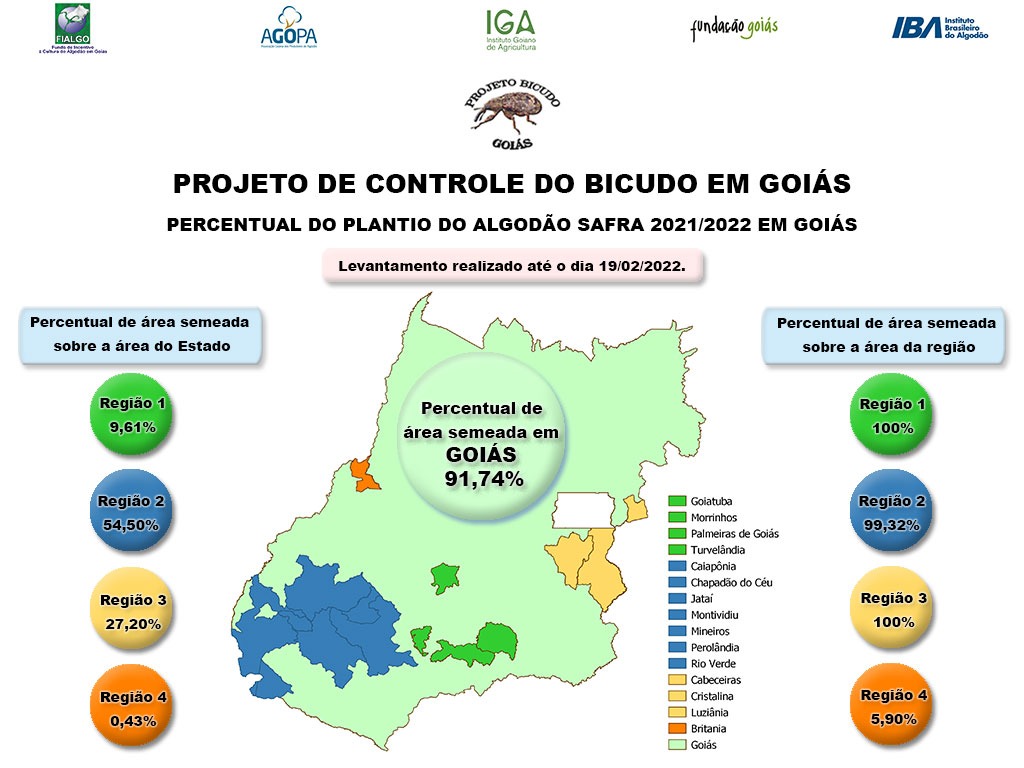 Percentual de plantio