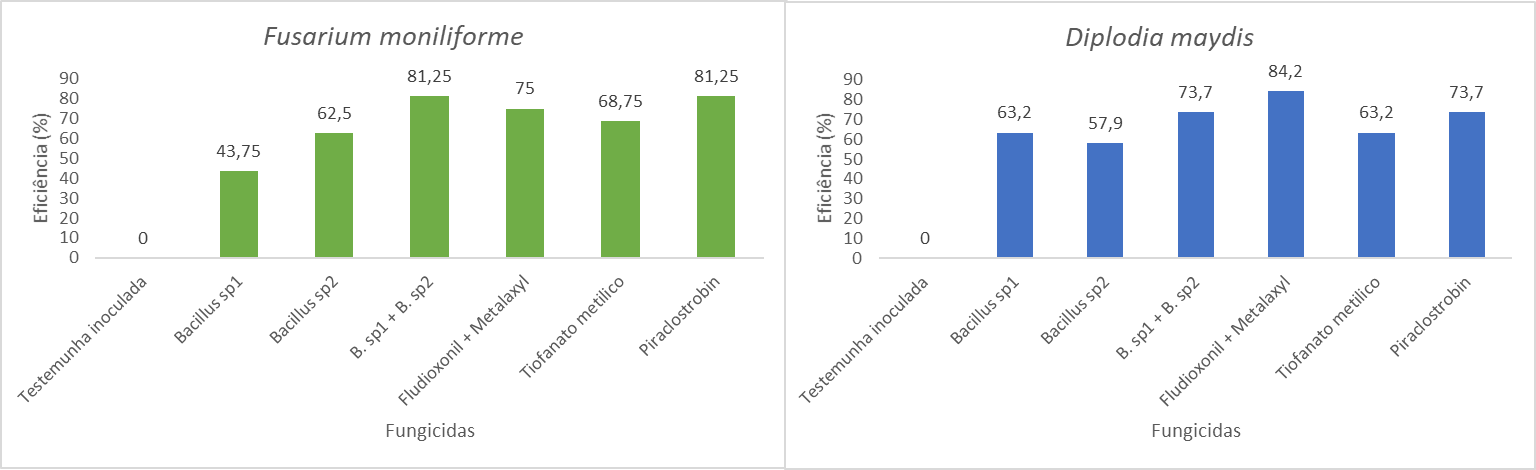 Figura 2- Eficiência de fungicidas via tratamento de sementes em Milho. Itaara, 2017