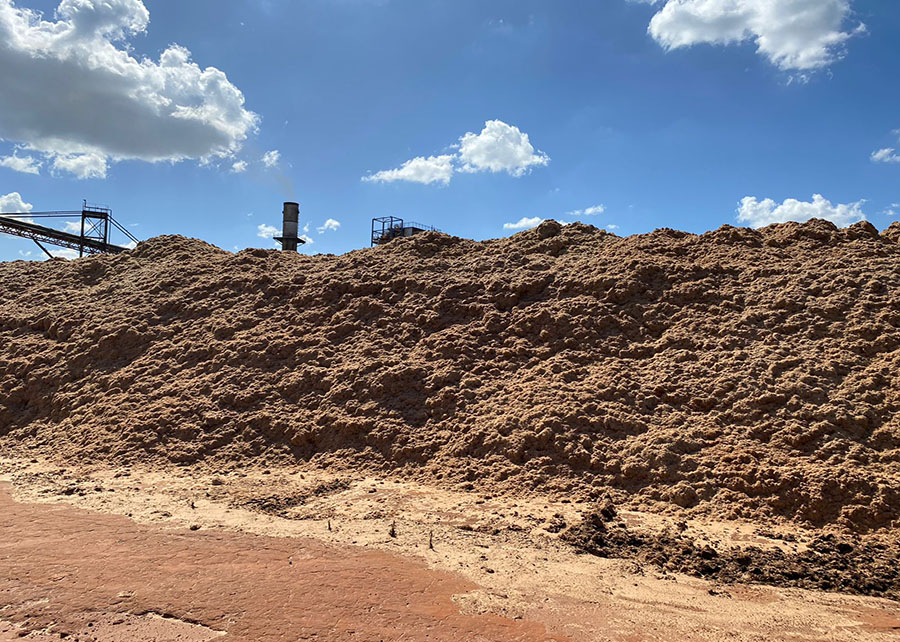 Biomassa 1G, matéria prima para a produção de pellets; Foto: Ronaldo Viana