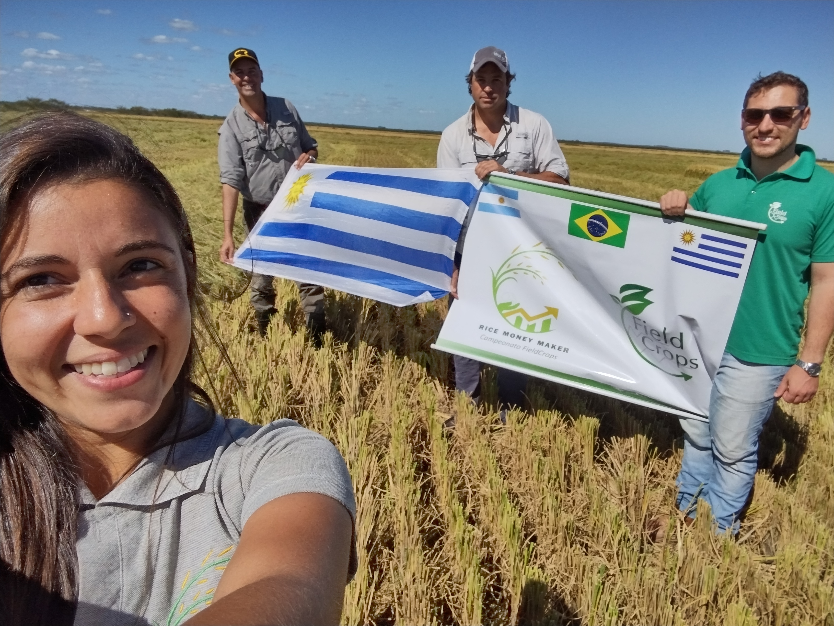 Frente a necessidade de classificar o nível de sustentabilidade das lavouras de arroz irrigado em diferentes sistemas de produção, por exemplo com rotação ou não, surge o Campeonato Rice Money Maker.