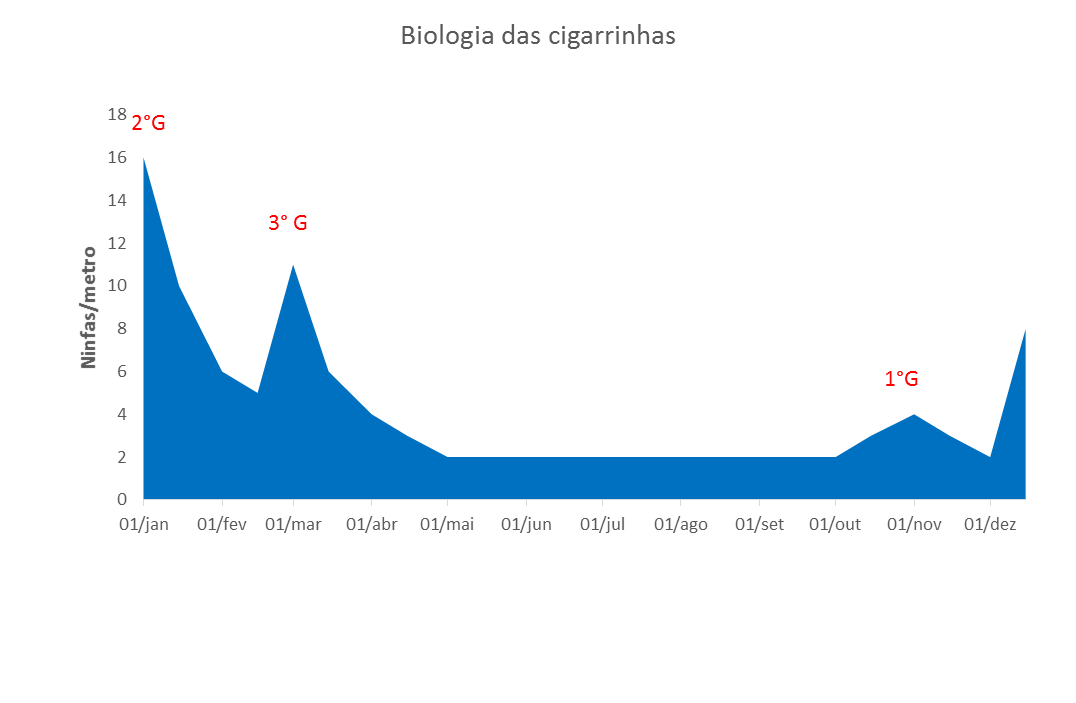 Figura 1 - Biologia da cigarrinha-das-raízes e possíveis recomendações de manejo integrado com inseticidas como imidacloprid