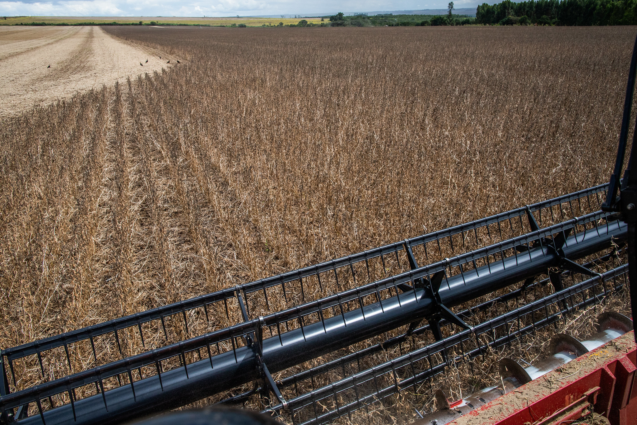 BNDES anunciou na quarta-feira (27/07) a suspensão temporária dos pedidos de financiamento de operações de crédito rural de investimento para o ano agrícola 2022/2023. - Foto: CNA