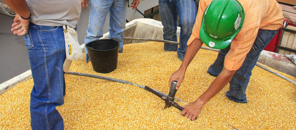 Em reunião da CT de Cereais do Sistema FAEP/SENAR-PR, produtores foram chamados a dar contribuições à revisão do decreto que regulamenta a inspeção de produtos como soja e milho. - Foto: Divulgação