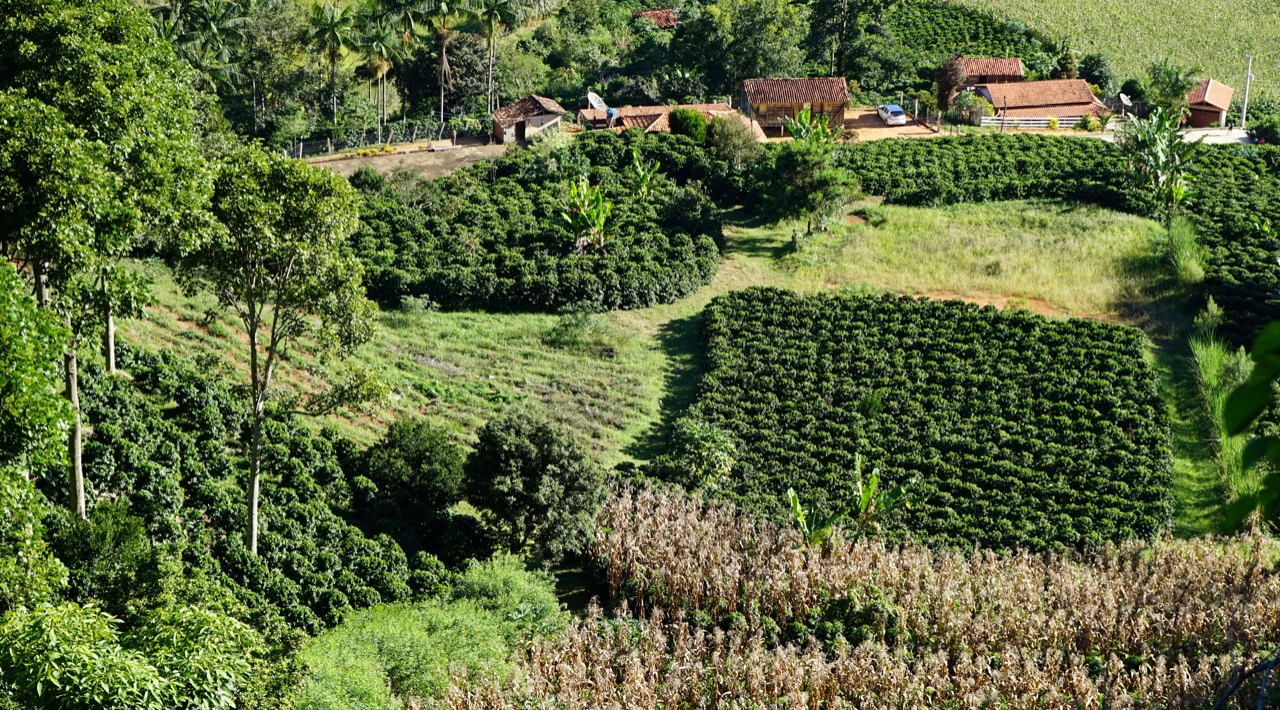 Indicadores de Sustentabilidade em Agrossistemas (ISA) ajuda produtores a identificar soluções e estratégias diante de mudanças climáticas. - Foto: Divulgação