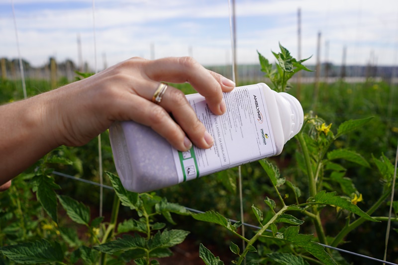 Estudos no interior paulista apontam redução de emissão da ordem de 3,5 mil kg por hectare de CO2 equivalente; Foto: Divulgação