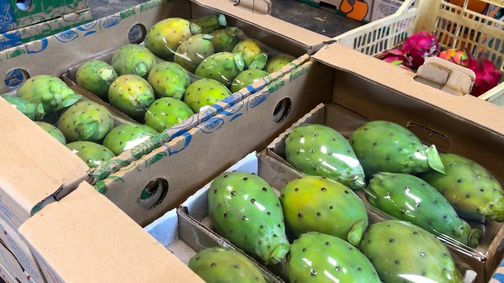 A produção de frutas de mesa é a principal atividade econômica no Sítio Cajueiro, localizado no município de Artur Nogueira, São Paulo