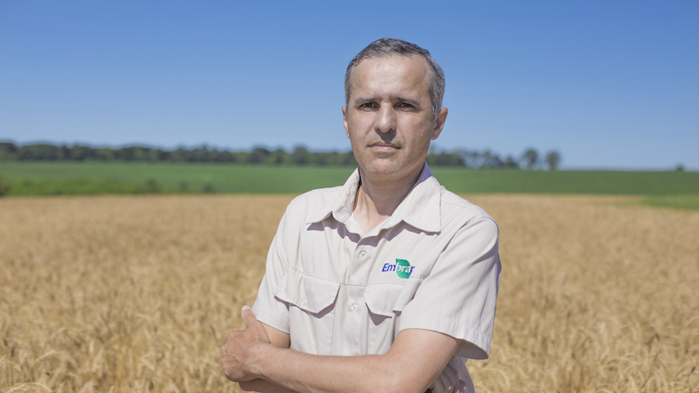 João Leonardo Pires, pesquisador da Embrapa Trigo