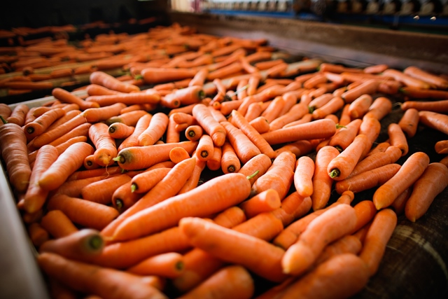 Na contramão da cenoura, outras hortaliças apresentaram movimento de alta nos preços, principalmente para a batata e cebola; Foto: Wenderson Araujo/CNA