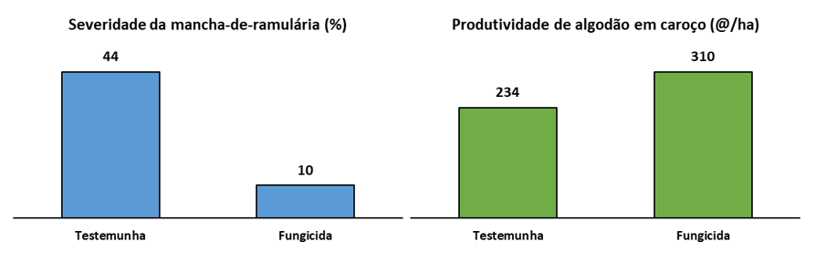 Figura 1. Severidade da mancha-ramulária aos 100 dias após emergência do algodão e produtividade do algodoeiro em tratamentos com e sem aplicação de fungicida, em experimento conduzido em Cristalina/Goiás.