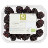 Dunnes Stores Organic Berries Blackberries 125g