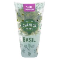 O'Hanlon Herbs Basil