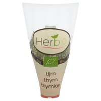 Herbio Thyme