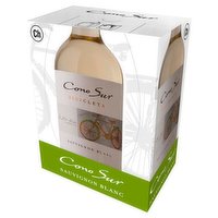 Cono Sur Sauv Blanc 6 x 75cl