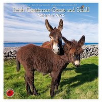 Irish Creatures Great and Small - Medium Calendar