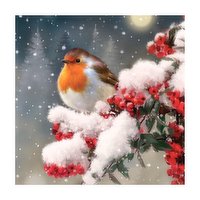 St Vincent de Paul Pack of 8 Large Christmas Cards - Robin in the snow