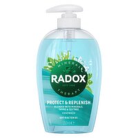 Radox Mineral Therapy Thyme & Tea Tree Antibacterial Handwash 250ml