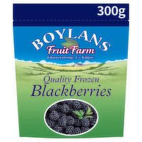 Boylans Fruit Farm Quality Frozen Blackberries 300g