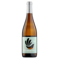 Rueda Vuela Paloma de Plata Verdejo 750ml