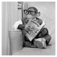 Father's Day - Chimp reading newspaper