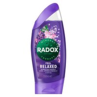 Radox Feel Relaxed Shower Gel 250 ml